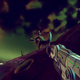 Illustration for article titled No Mans Sky In Screenshots, Part 3